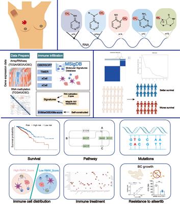 Crosstalk of RNA methylation writers defines tumor microenvironment and alisertib resistance in breast cancer